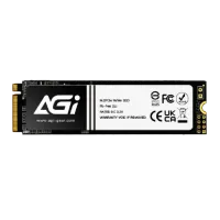 AGI AI198 256GB PCIe 3.0 NVMe M.2 SSD